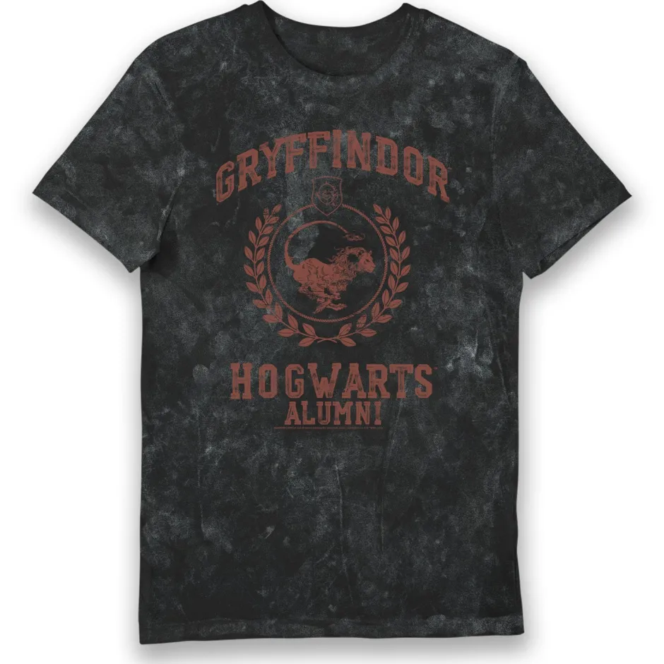Harry Potter Gryffindor Hogwarts Alumni Vintage Style Adults T-Shirt-Bioworld International Clearance