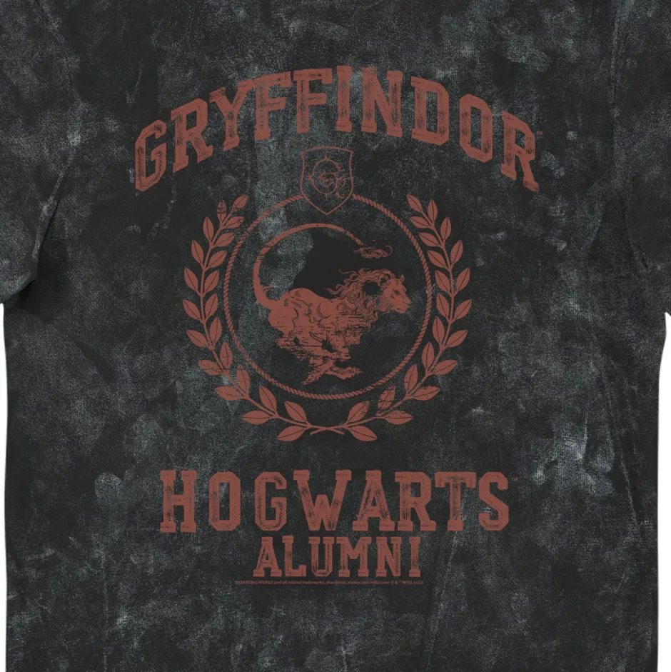 Harry Potter Gryffindor Hogwarts Alumni Vintage Style Adults T-Shirt-Bioworld International Clearance