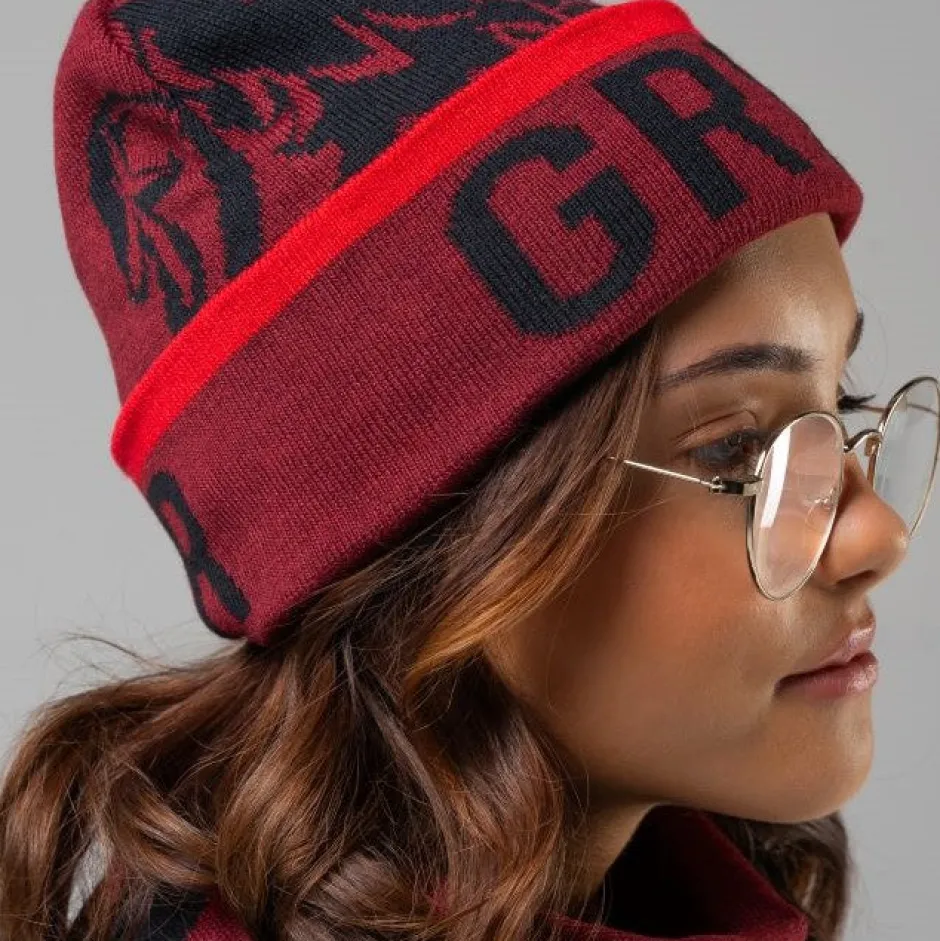Harry Potter Gryffindor Luxury Adults Beanie & Jacquard Scarf Set-Bioworld International Shop