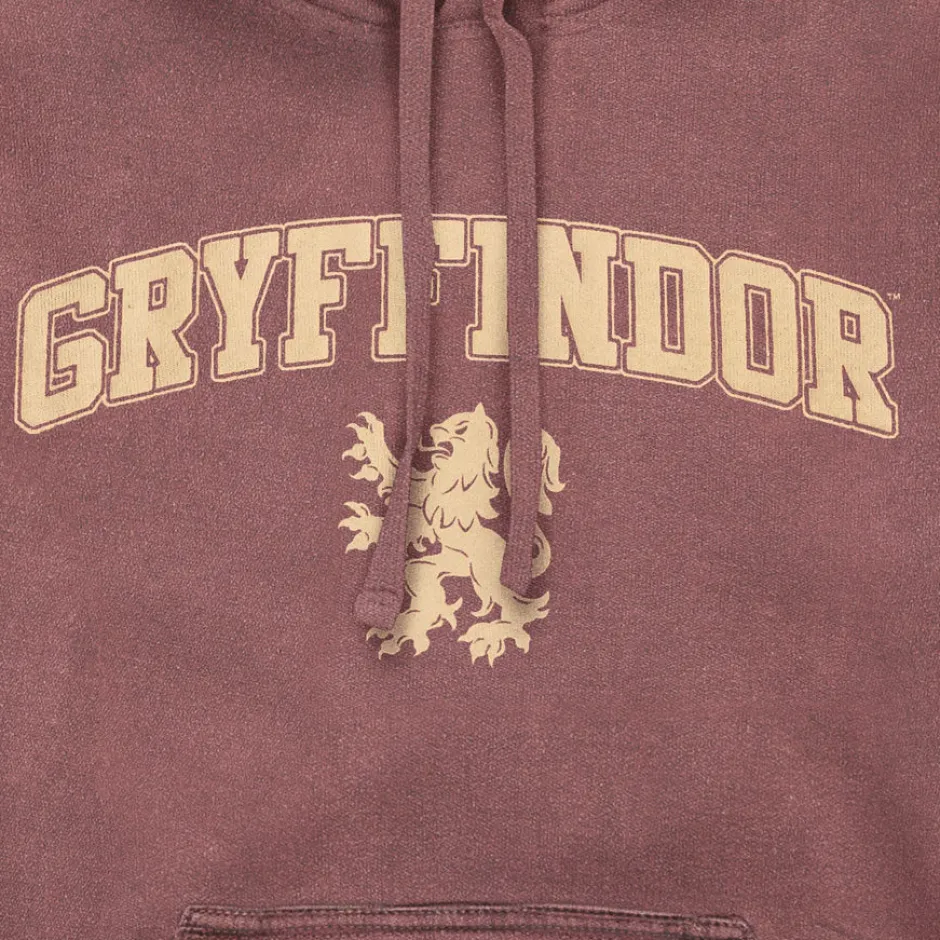 Harry Potter Gryffindor Vintage Style Adults Hoodie-Bioworld International Best Sale