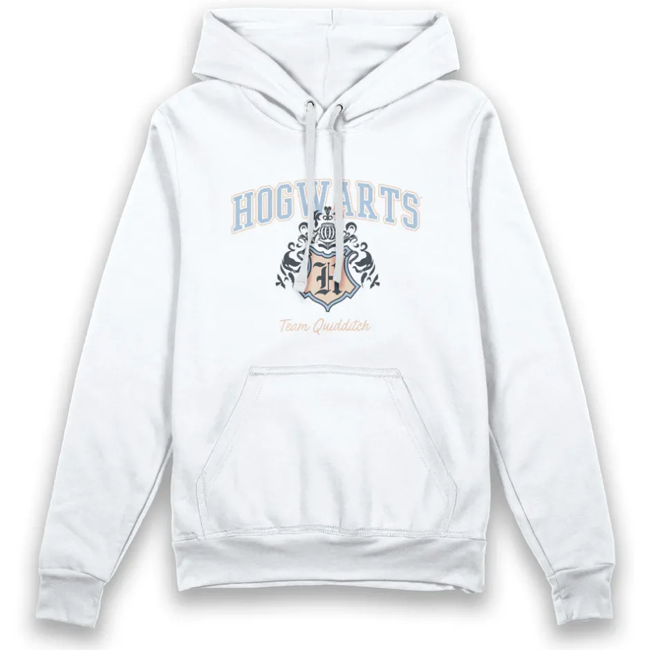 Harry Potter Hogwarts Team Quidditch Adults Hoodie-Bioworld International Shop