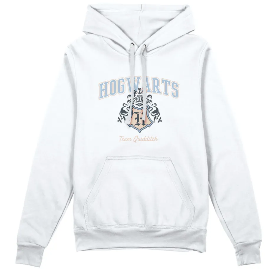 Harry Potter Hogwarts Team Quidditch Adults Hoodie-Bioworld International Shop