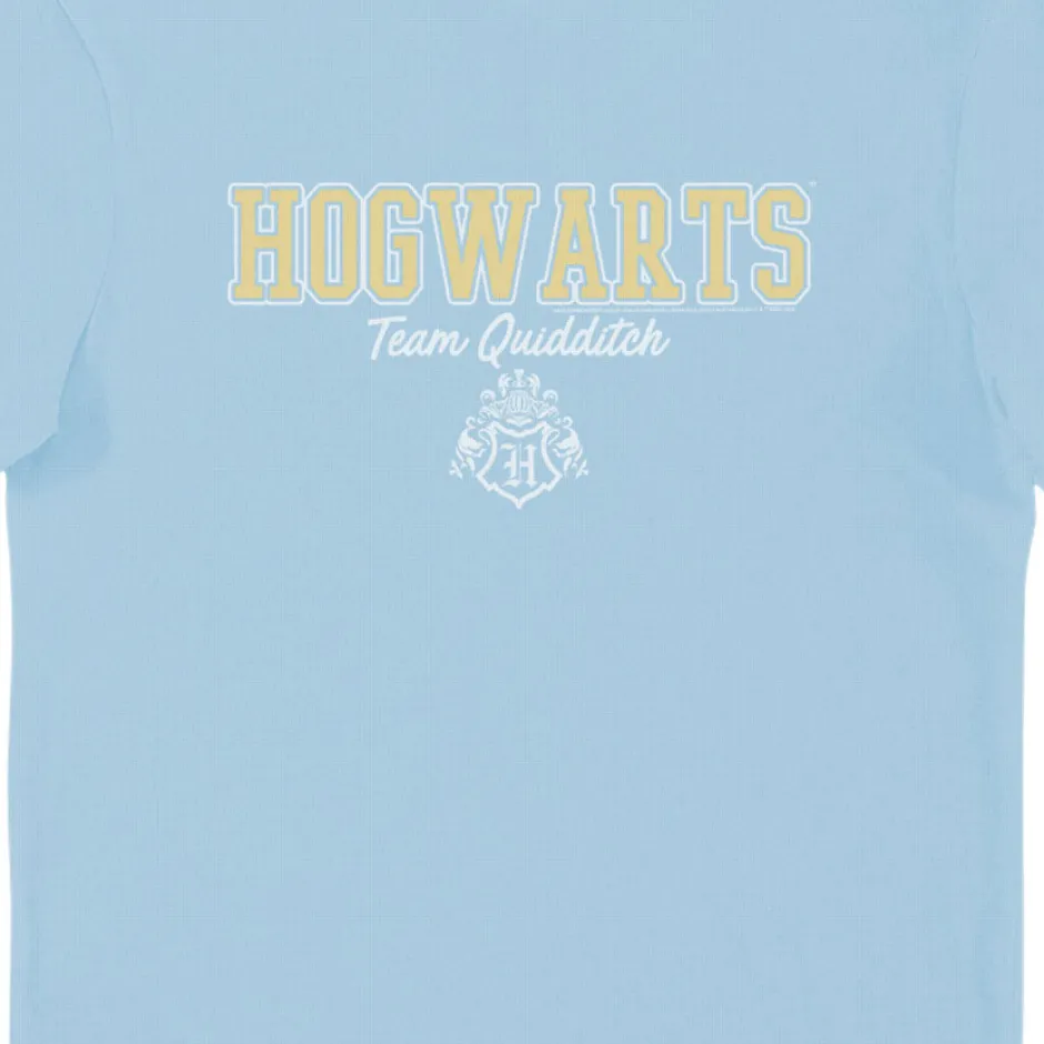 Harry Potter Hogwarts Team Quidditch Blue Adults T-Shirt-Bioworld International Best