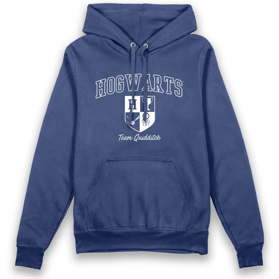Harry Potter Hogwarts Team Quidditch Vintage Adults Hoodie-Bioworld International Cheap