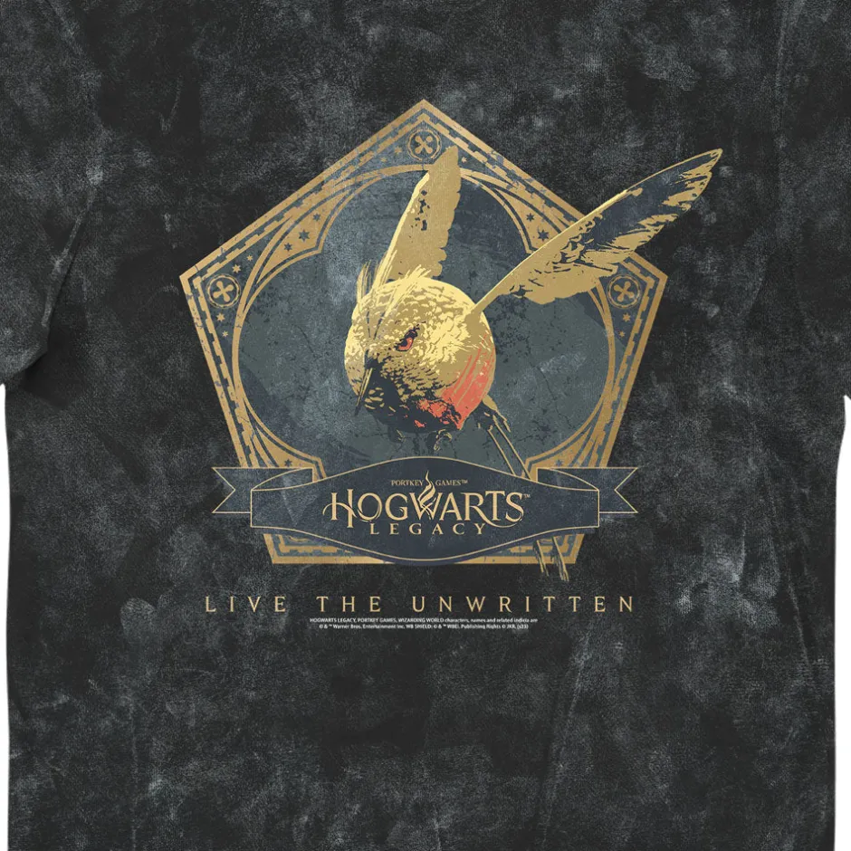 Harry Potter Legacy Snowash Adults T-Shirt-Bioworld International Clearance