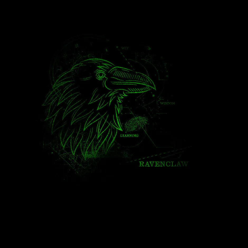 Harry Potter Ravenclaw House Glow in The Dark Adults T-Shirt Bulk Buy-Bioworld International Shop