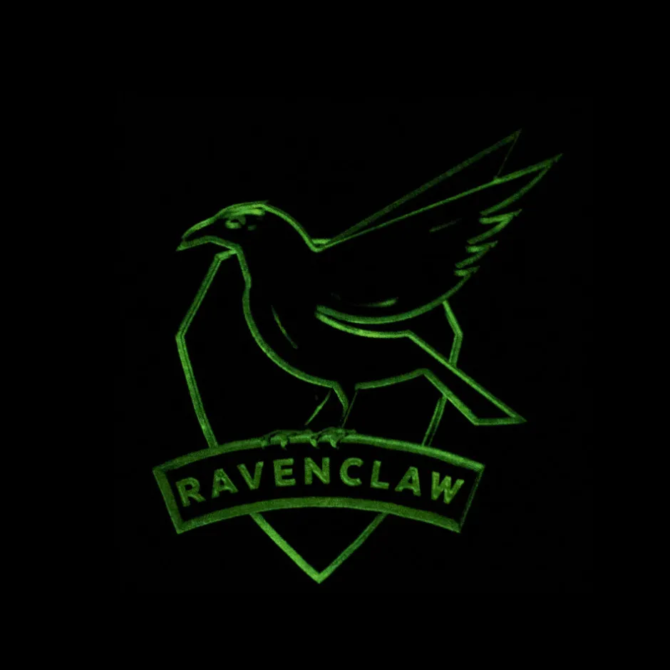 Harry Potter Ravenclaw House Glow in The Dark Kids T-Shirt Bulk Buy-Bioworld International Cheap