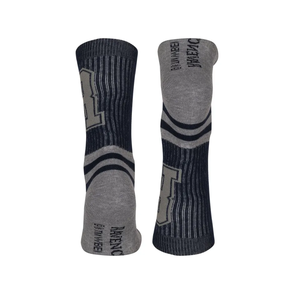 Harry Potter Ravenclaw Striped Adults Socks-Bioworld International Clearance