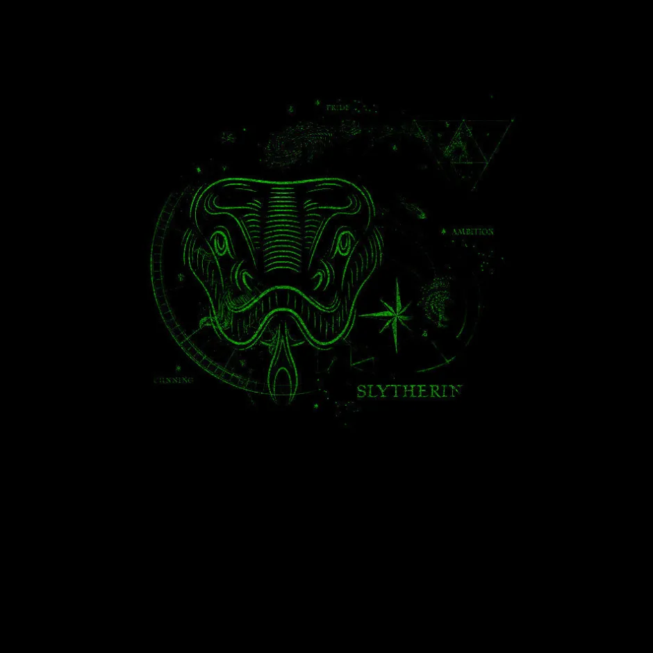 Harry Potter Slytherin House Glow in The Dark Adults T-Shirt Bulk Buy-Bioworld International Online