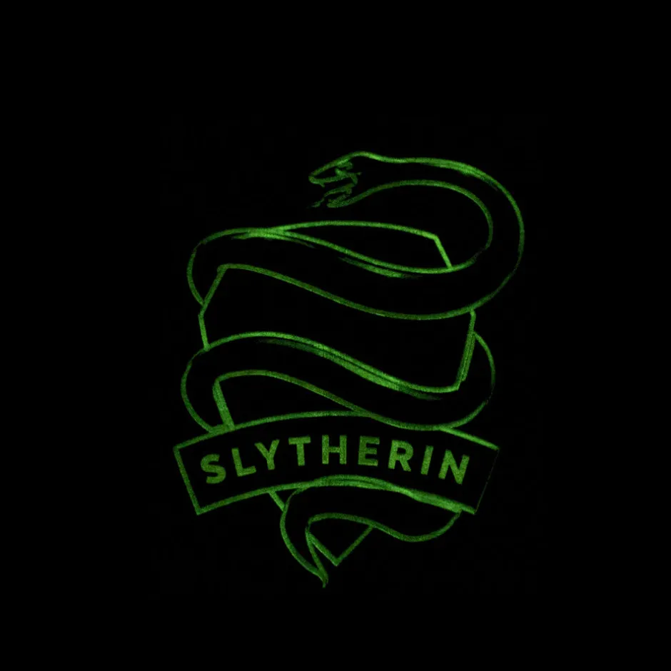 Harry Potter Slytherin House Glow in The Dark Kids T-Shirt Bulk Buy-Bioworld International Discount