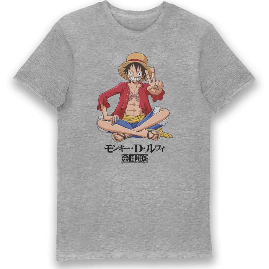 One Piece Luffy Grey Adults T-Shirt-Bioworld International Best