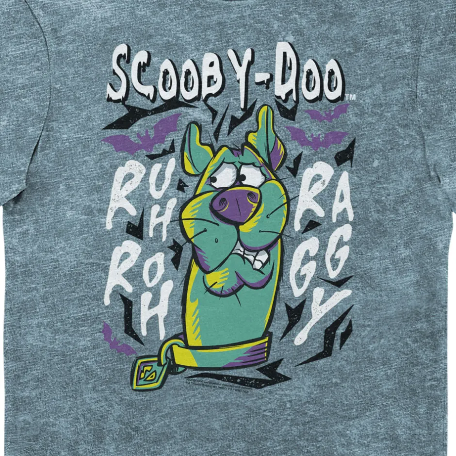 Scooby Doo “Ruh-Roh Raggy” Eco Wash Adults T-Shirt-Bioworld International Best Sale